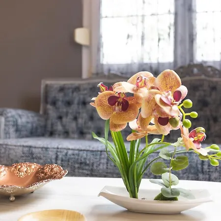 Apartment Joene Vintage *